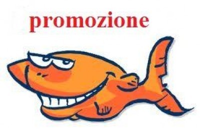 Animali, ambiente e coerenza |Una