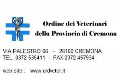 3^ edizione del corso di formazione per proprietari di cani 