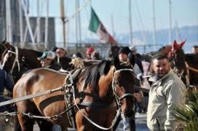 “Una maggiore visibilità per rilanciare il settore ippico”