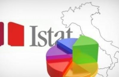 Istat, diffusi i primi dati regionali su organizzazioni non profit