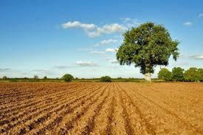 Riforma della PAC: la posizione di Confagricoltura Lombardia