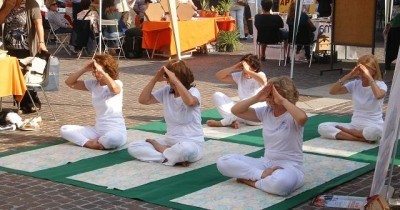 Cremona. Festa volontariato 2013. (video)