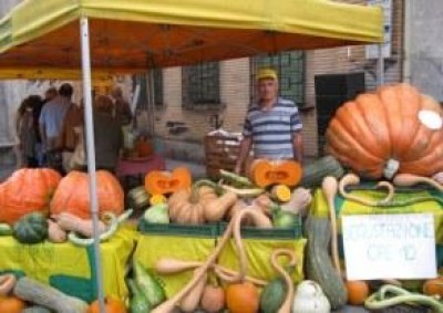 Grande successo per il “festival della zucca” a Crema