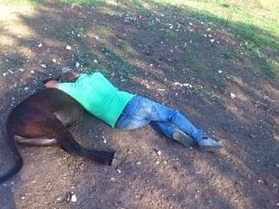 Social Antas, la onlus che porta gli asini in ospedale 