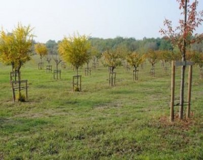Cremona ha un altro grande parco urbano nel quartiere Po