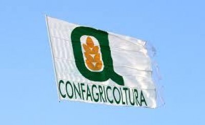 Un nuovo PSR a sostegno della competitività delle aziende agricole