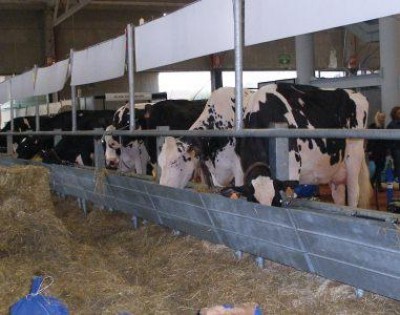 Chiusa la 68° Fiera Internazionale del Bovino da Latte. A Cremona si è vista l'Italia che funziona.