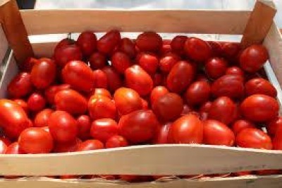 Pomodoro Casalasco: quello della De Girolamo è un atteggiamento da censurare.