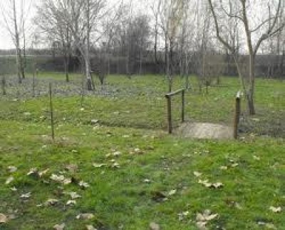A Cremona nasce la prima area per l’addestramento dei cani