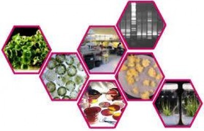 Biotecnologie: un convegno per un approccio più equilibrato