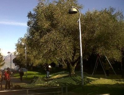 Escursione Olivicoltura lariana