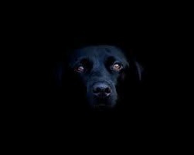 Il negro, il colpevole perfetto