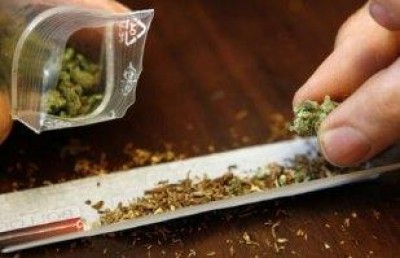Legalizzazione cannabis. Contro la criminalita' organizzata