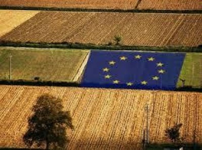 Grave preoccupazione per le scelte nazionali su PAC e PSR