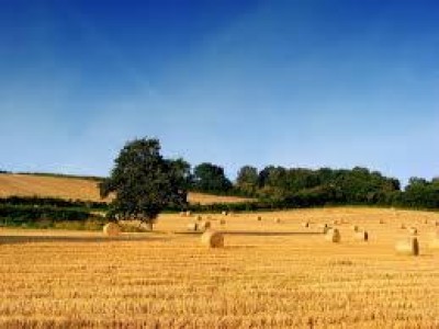 OSSERVATORIO AGRI&FOOD DI CREMONAFIERE