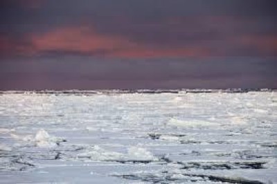 24 months to save the world