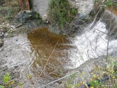 Question time su sversamento inquinanti nel torrente Cassinelle