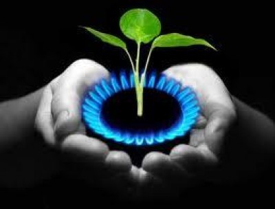 I produttori di biogas tedeschi presenti a Bioenergy Italy (5-7 marzo 2014)