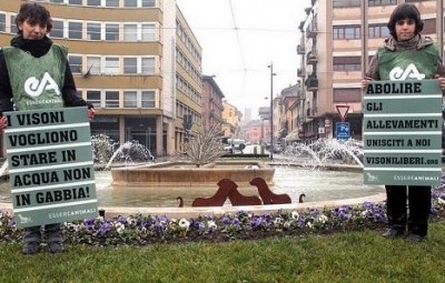 “I VISONI VOGLIONO STARE IN ACQUA”BLIZ FONTANA p.zza Cadorna Cremona