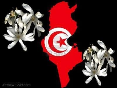 TUNISIA.IL GELSOMINO E' FIORITO.APPROVATA LA NUOVA COSTITUZIONE | Claudio Ser