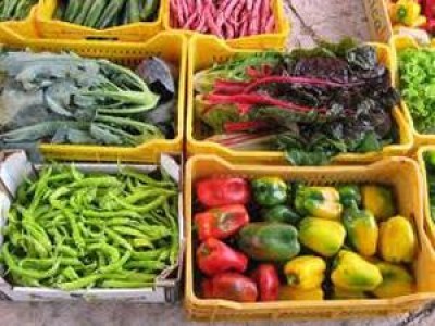OSSERVATORIO AGRI&FOOD DI CREMONAFIERE