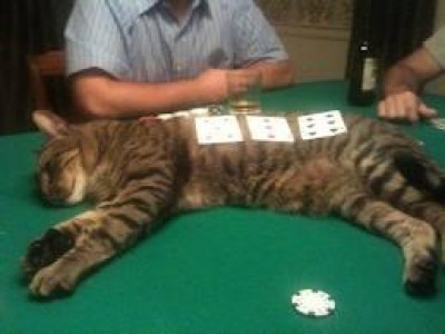 Un poker con “il morto”|RAR