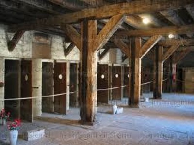 Mostra . IL PROCESSO DELLA RISIERA DI SAN SABBA