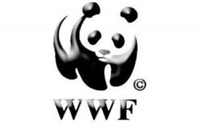 Liguria. Raddoppio ferroviario a ponente, no agli gli errori del passato