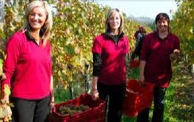 Donne a capo del 60% aziende agricole ma legge Quote Rosa non passa