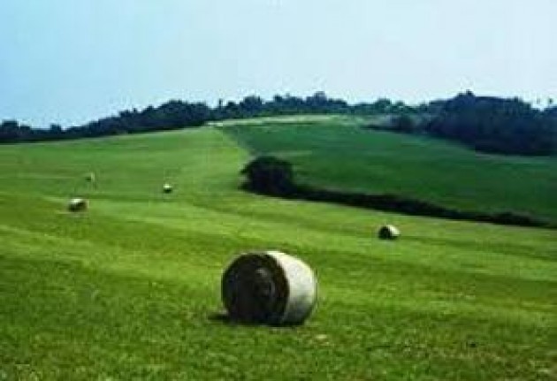 Le aree rurali e il paesaggio: tre giornate del GAL Oglio Po terre d’acqua