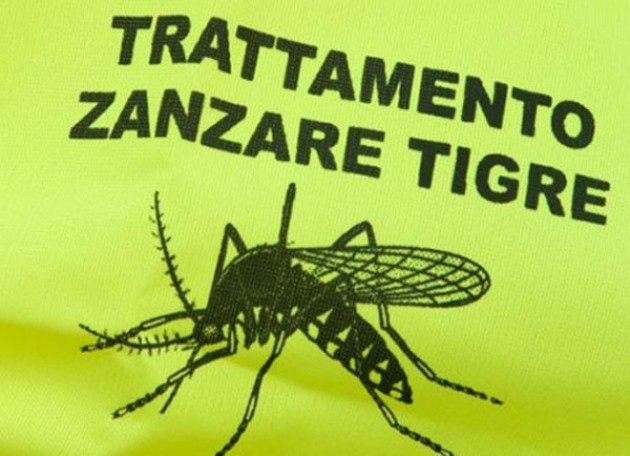 Lotta alle zanzare e alla zanzara tigre