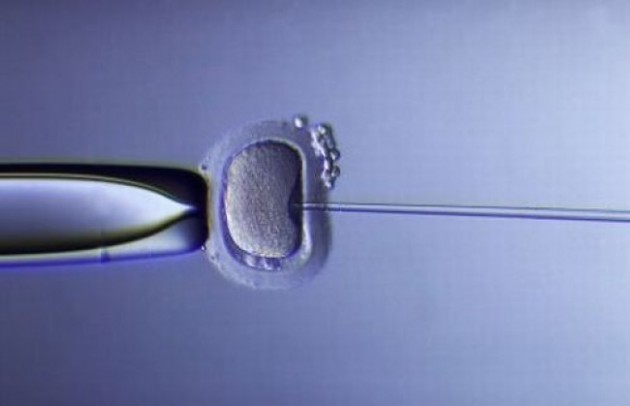 Fecondazione assistita. Smantellata una legge crudele