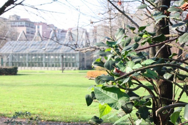 Giornata della Terra. Partono laboratori ambientali all’Orto Botanico per scuole