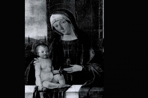 Importante donazione al Museo Civico 