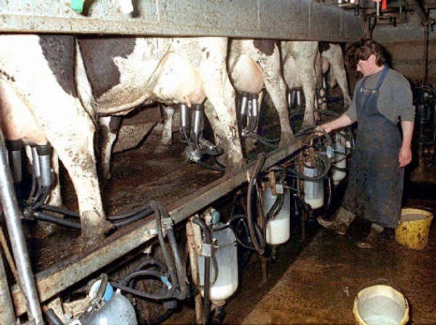 Meno di 11mila tonnellate di latte in Lombardia dal 2013