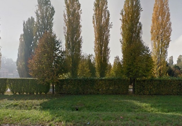 I  Verdi di Cremona sull’area cani nel parco Asia di Via Persico.