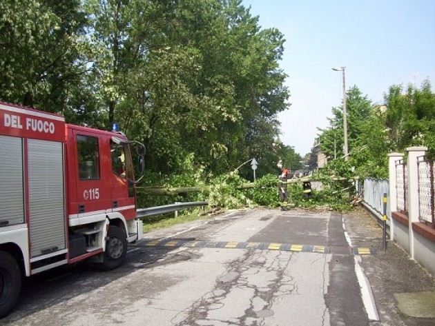 Cade un albero sul Cavo Cerca. Sono tre anni che il Quatiere 1 di Cremona richiedeva interventi.