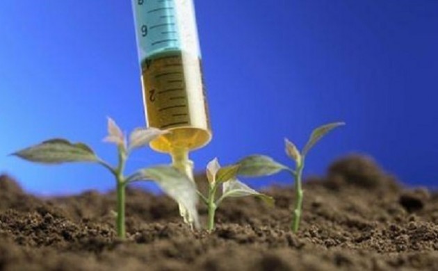 L’agricoltura italiana è libera da Ogm