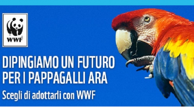 WWF Adotta un pappagallo in Amazzonia