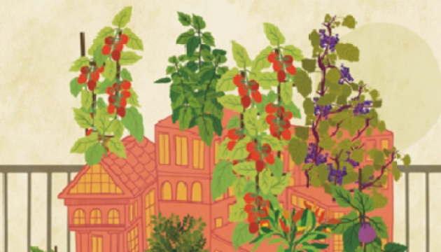 Milano.Tutti giù per Terra: appuntamento nell'orto!