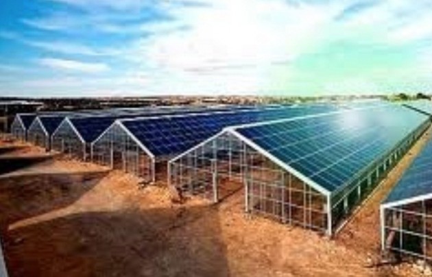 Distretto Agroenergetico Lombardo sul futuro delle agroenergie