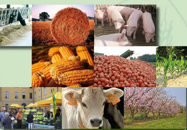 Milano. Mercoledì 21 maggio ore 9,30 