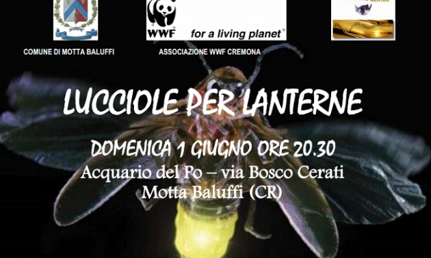 Lucciole per lanterne a Motta Baluffi.