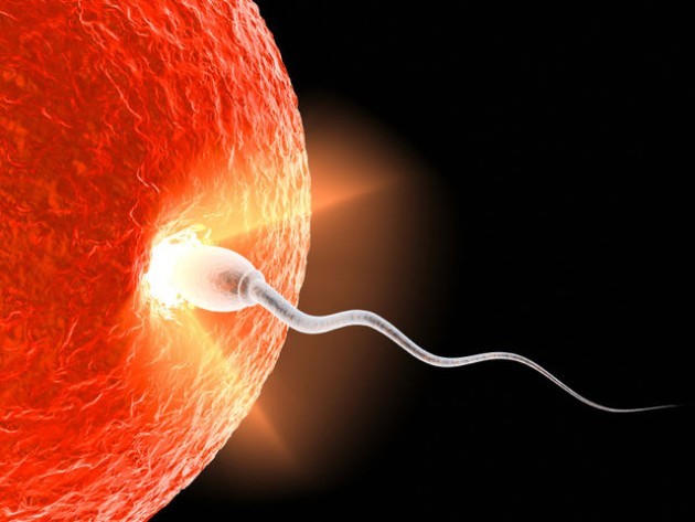 U.E. - Leggende e falsi miti sul sesso. Indagine ESC
