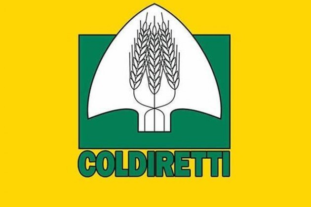 “Successful experience”: la sfida imprenditoriale del cremonese Recchia proposta a “Youth Guarantee in Lombardy