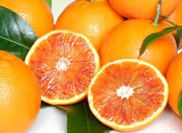 Cremona Sconfitta lobby di aranciata senza arance