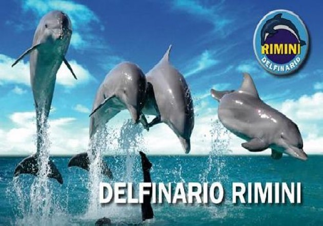 Rimini, proteste degli animalisti contro la riapertura del Delfinario 