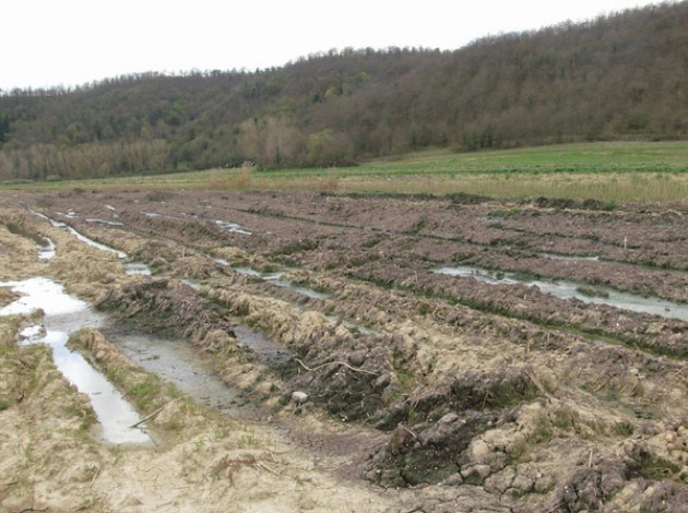 Fanghi in agricoltura 