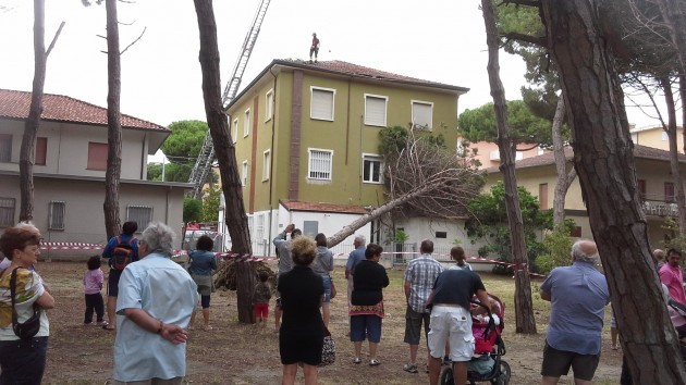 Pinarella Relax estivo un pino di alto fusto si adagia su una casa