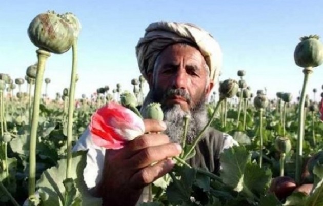 AFGHANISTAN - Coltivazione oppio come non mai. Allarme dal Congresso Usa